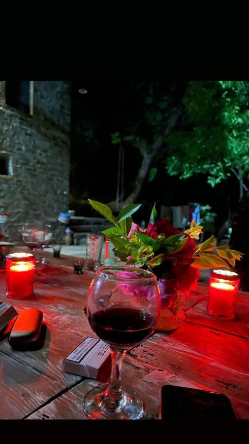 Traditional Guesthouse Πρεμετή Εξωτερικό φωτογραφία