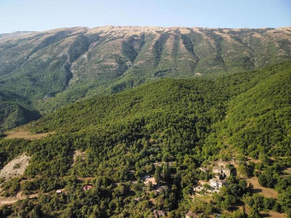 Traditional Guesthouse Πρεμετή Εξωτερικό φωτογραφία